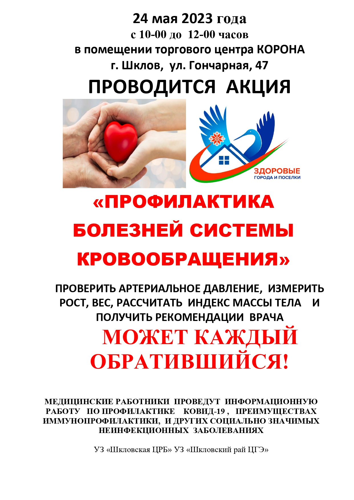 kor akc